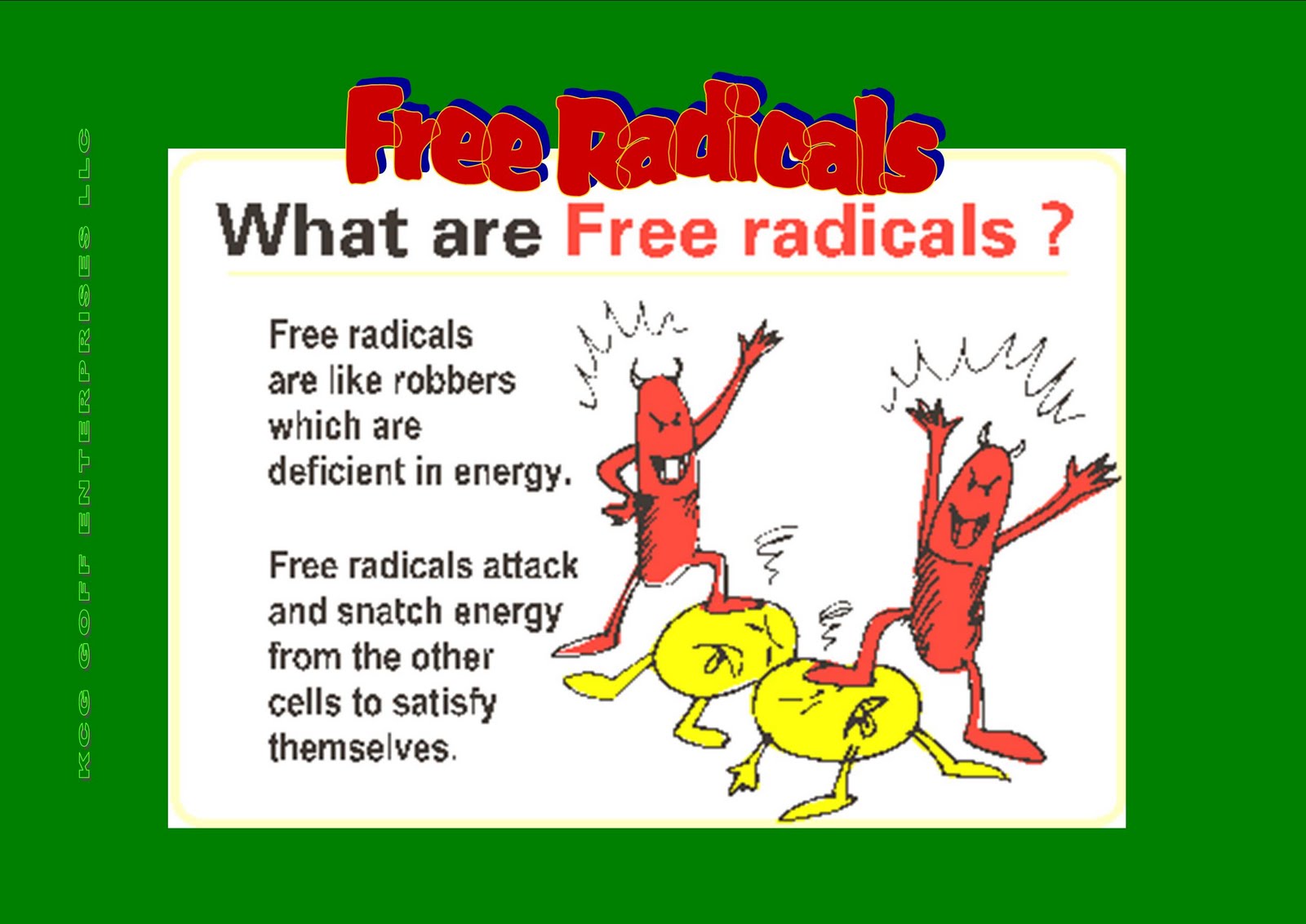 How Free Radicals Inflict Their Damage The AntiAging Guy